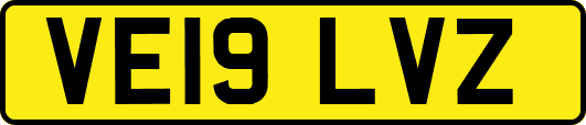 VE19LVZ