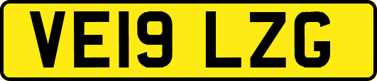 VE19LZG