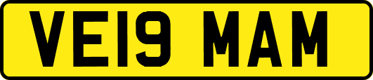 VE19MAM