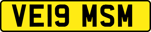 VE19MSM