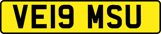 VE19MSU