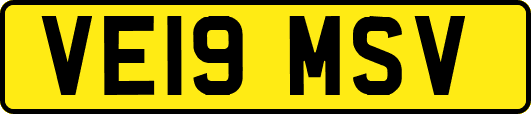 VE19MSV