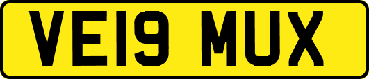 VE19MUX