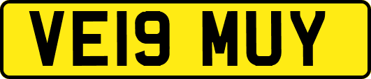 VE19MUY