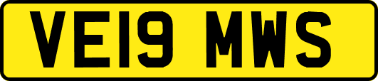 VE19MWS