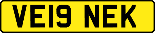 VE19NEK