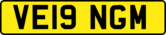 VE19NGM