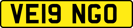 VE19NGO