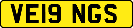 VE19NGS