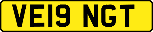 VE19NGT