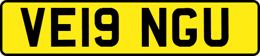 VE19NGU