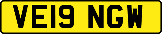 VE19NGW