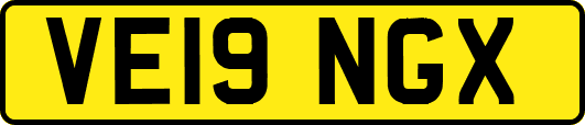VE19NGX