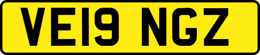 VE19NGZ