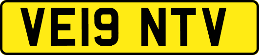 VE19NTV