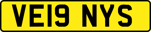 VE19NYS