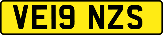 VE19NZS