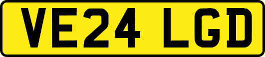 VE24LGD