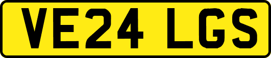 VE24LGS