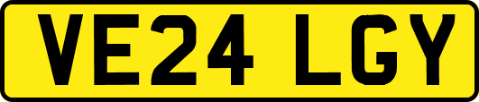 VE24LGY