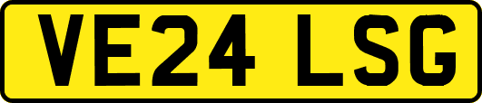 VE24LSG