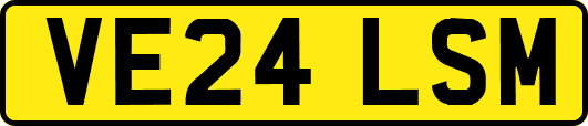 VE24LSM