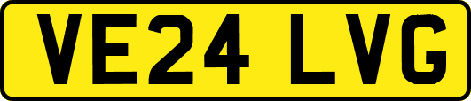 VE24LVG