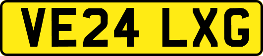 VE24LXG