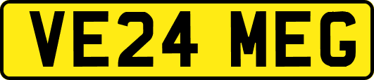 VE24MEG