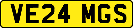 VE24MGS
