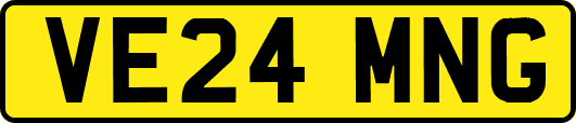 VE24MNG