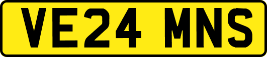 VE24MNS