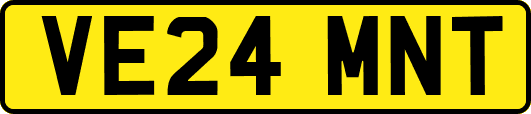 VE24MNT