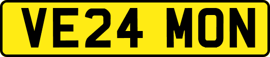 VE24MON