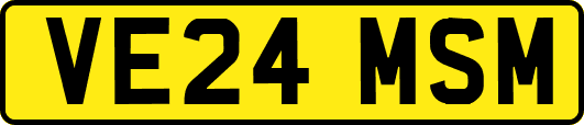 VE24MSM
