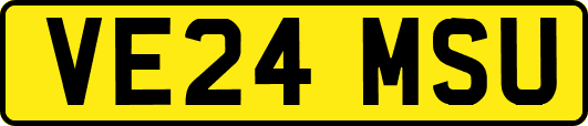 VE24MSU