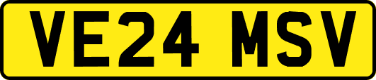 VE24MSV