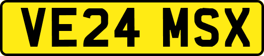 VE24MSX
