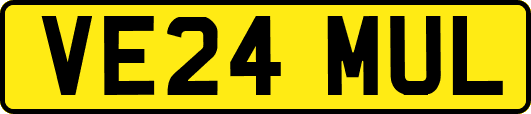 VE24MUL