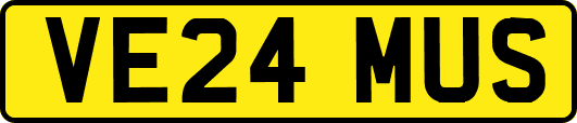 VE24MUS
