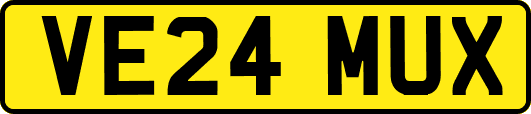VE24MUX