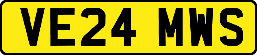 VE24MWS