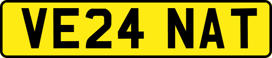 VE24NAT