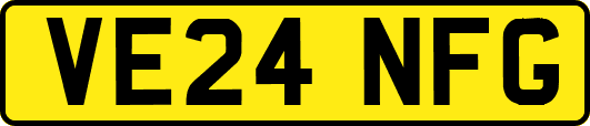VE24NFG