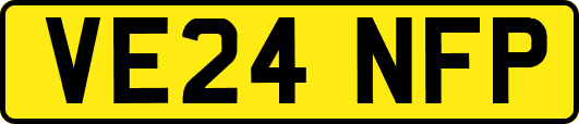VE24NFP