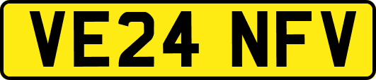VE24NFV
