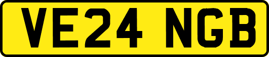 VE24NGB