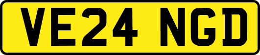VE24NGD