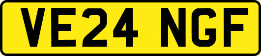 VE24NGF