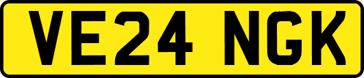 VE24NGK